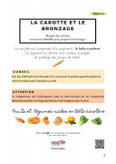 carotte et bronzage