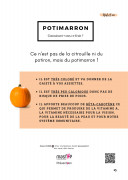 Potimarron